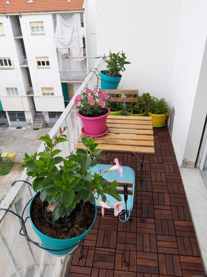 アスティCasa Della Cattedraleアパートメント エクステリア 写真